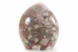 Free-Standing, Polished Flower Agate - Madagascar #205442-1